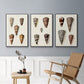 Cone Shell Collection I - Floater Framed Canvas Set
