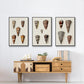 Cone Shell Collection I - Floater Framed Canvas Set