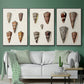 Cone Shell Collection I - Floater Framed Canvas Set