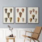 Cone Shell Collection IV - Floater Framed Canvas Set
