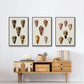 Cone Shell Collection IV - Floater Framed Canvas Set