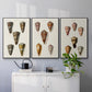 Cone Shell Collection IV - Floater Framed Canvas Set
