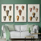 Cone Shell Collection IV - Floater Framed Canvas Set