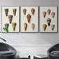 Cone Shell Collection IV - Floater Framed Canvas Set