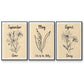 Birth Month IV - Floater Framed Canvas Set