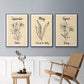 Birth Month IV - Floater Framed Canvas Set
