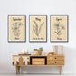 Birth Month IV - Floater Framed Canvas Set