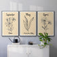 Birth Month IV - Floater Framed Canvas Set