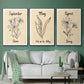 Birth Month IV - Floater Framed Canvas Set