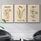 Birth Month IV - Floater Framed Canvas Set