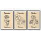 Birth Month X - Floater Framed Canvas Set