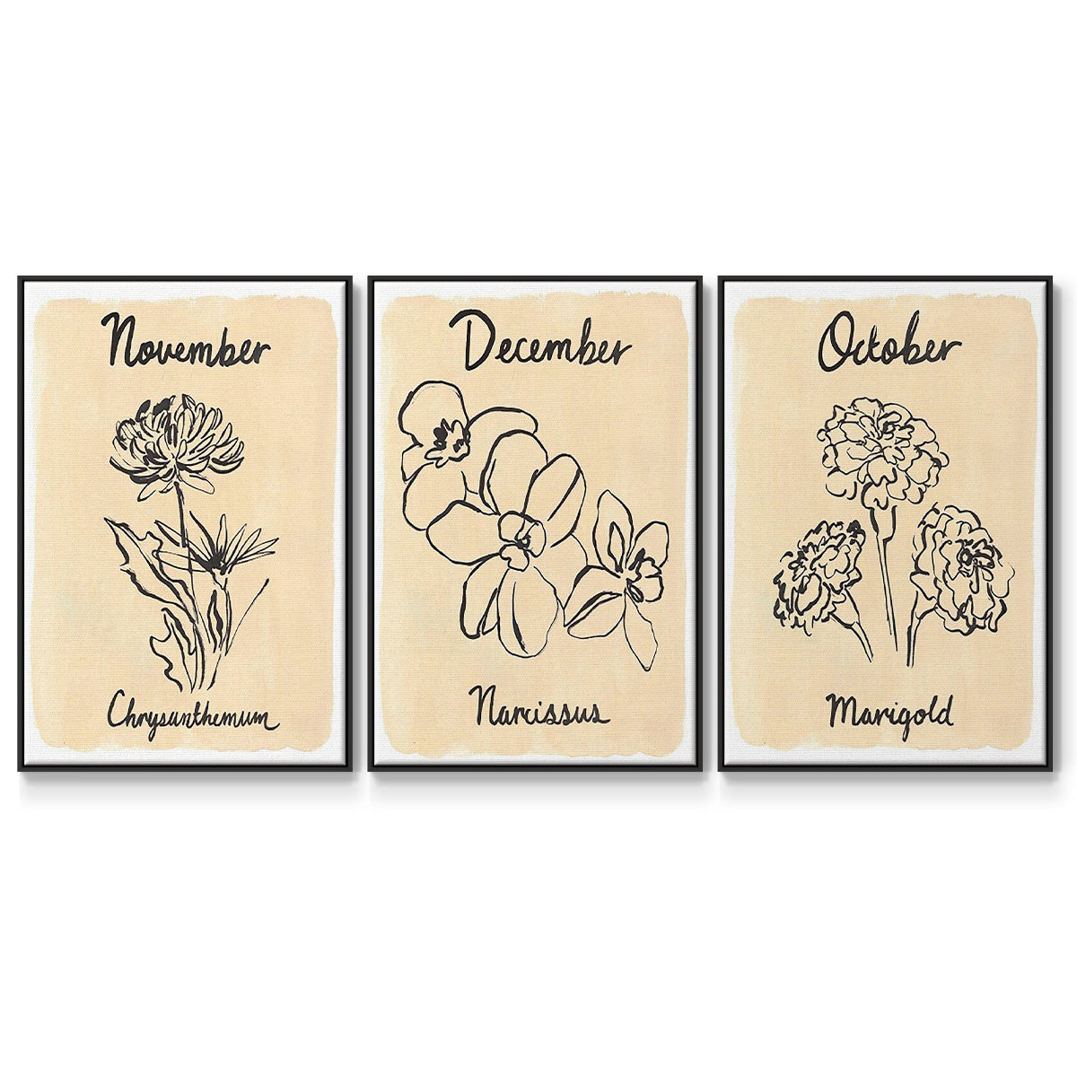 Birth Month X - Floater Framed Canvas Set