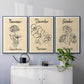 Birth Month X - Floater Framed Canvas Set