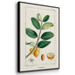 Turpin Tropical Botanicals IV - Floater Framed Canvas Set