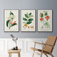 Turpin Tropical Botanicals IV - Floater Framed Canvas Set