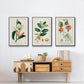 Turpin Tropical Botanicals IV - Floater Framed Canvas Set