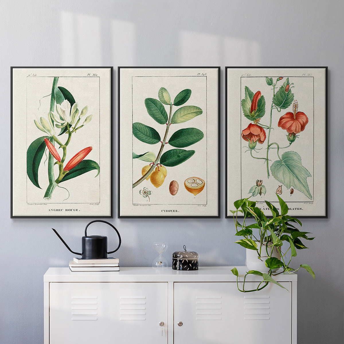Turpin Tropical Botanicals IV - Floater Framed Canvas Set