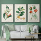 Turpin Tropical Botanicals IV - Floater Framed Canvas Set