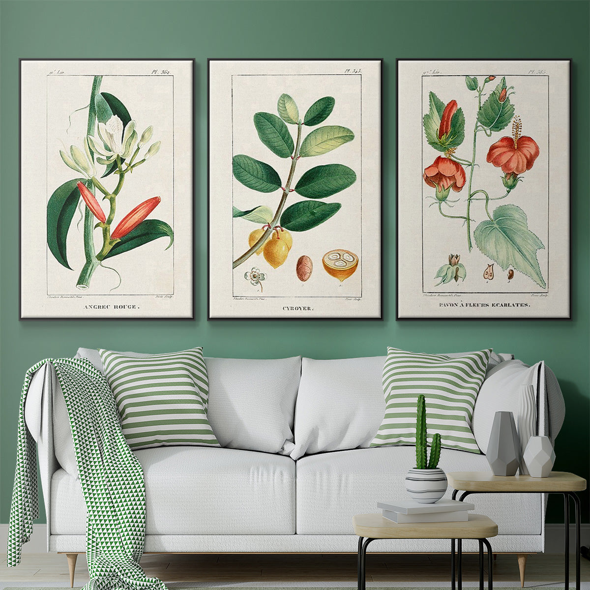 Turpin Tropical Botanicals IV - Floater Framed Canvas Set