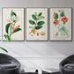 Turpin Tropical Botanicals IV - Floater Framed Canvas Set