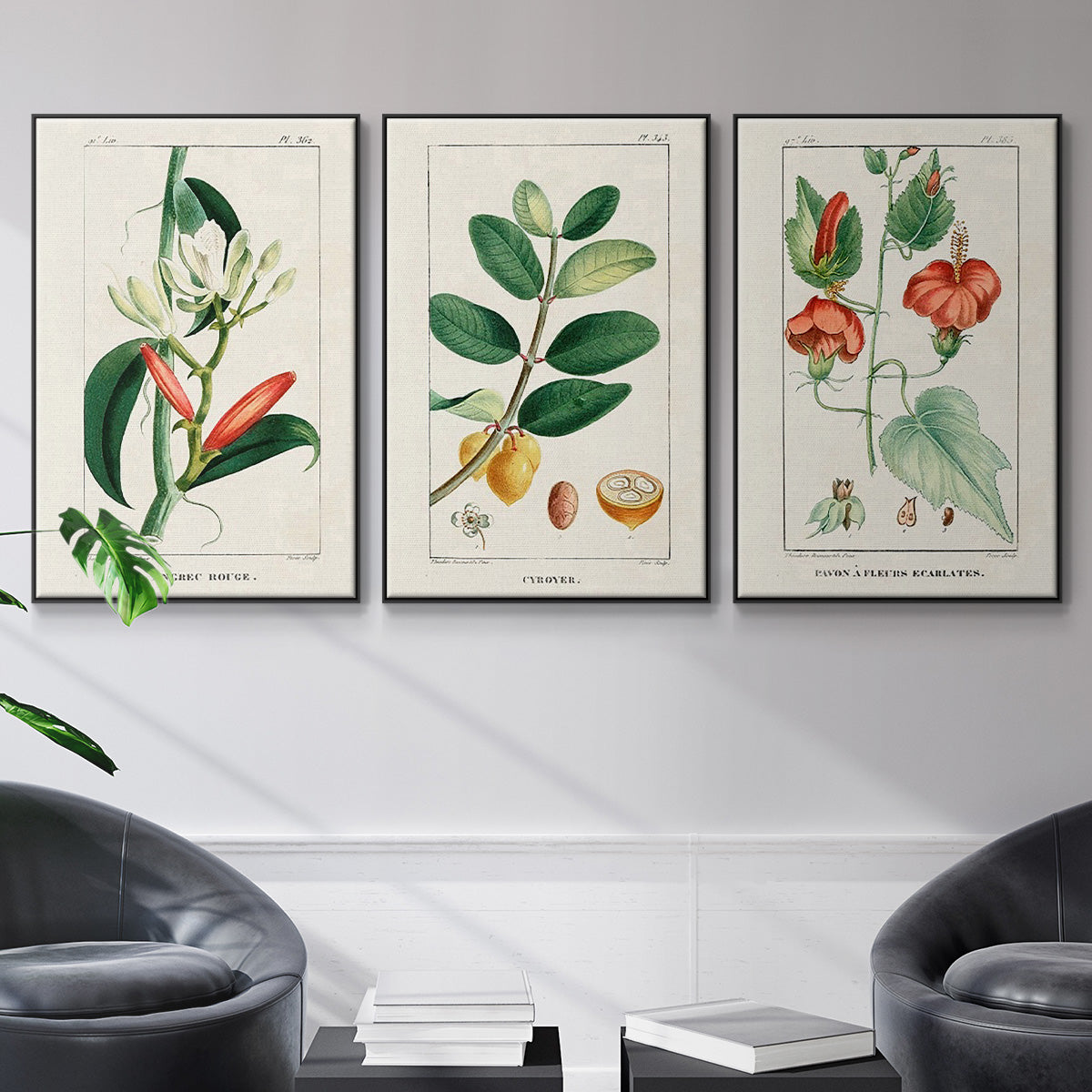 Turpin Tropical Botanicals IV - Floater Framed Canvas Set