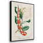 Turpin Tropical Botanicals VI - Floater Framed Canvas Set