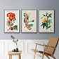 Turpin Tropical Botanicals VI - Floater Framed Canvas Set