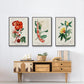 Turpin Tropical Botanicals VI - Floater Framed Canvas Set