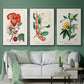 Turpin Tropical Botanicals VI - Floater Framed Canvas Set
