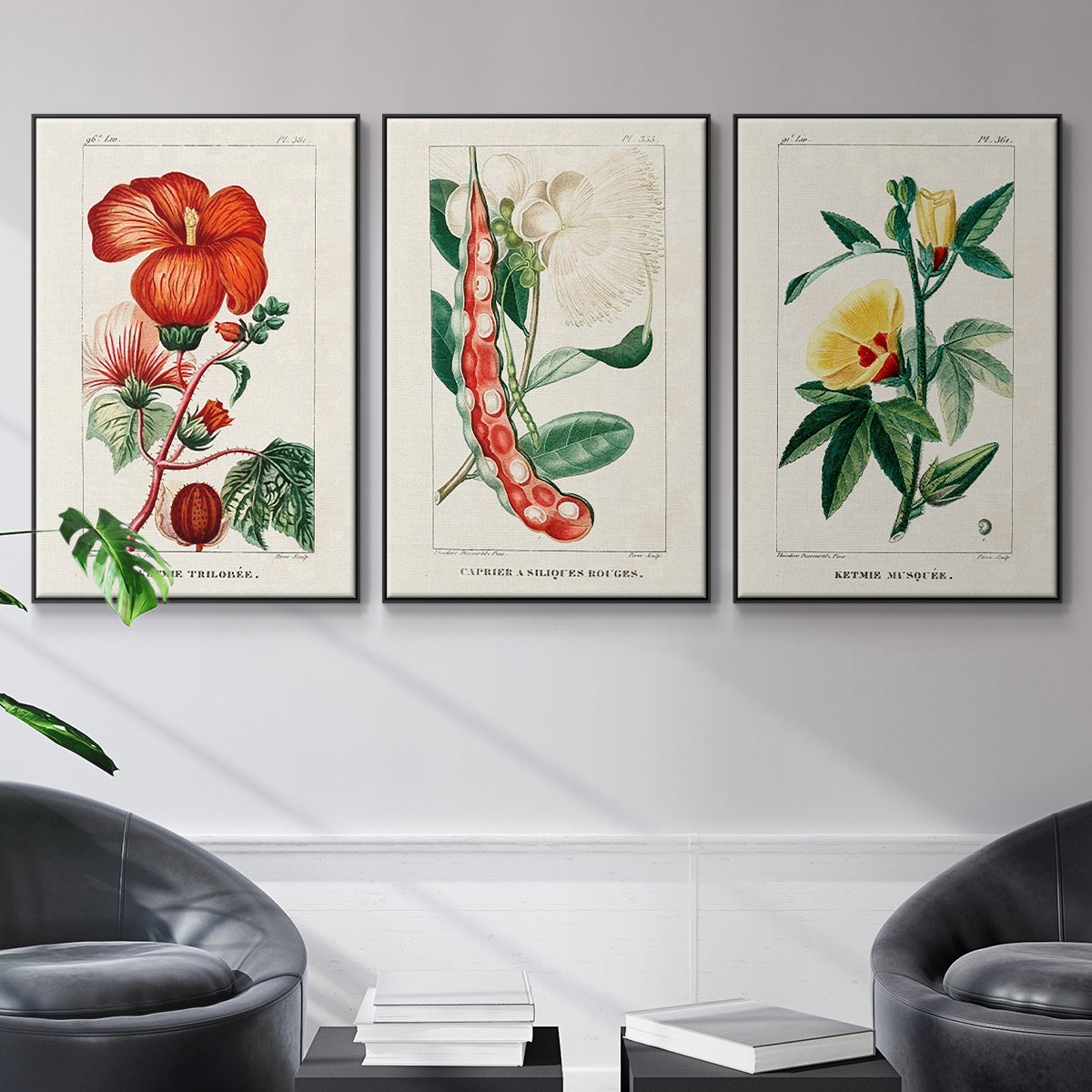 Turpin Tropical Botanicals VI - Floater Framed Canvas Set