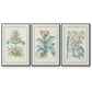 Willow Blue Besler I - Floater Framed Canvas Set