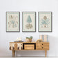 Willow Blue Besler IV - Floater Framed Canvas Set