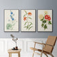 Flowers of the Seasons I - Floater Framed Canvas Set
