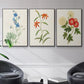 Flowers of the Seasons I - Floater Framed Canvas Set
