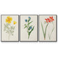 Flowers of the Seasons IV - Floater Framed Canvas Set