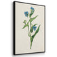 Flowers of the Seasons IV - Floater Framed Canvas Set
