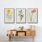 Flowers of the Seasons IV - Floater Framed Canvas Set