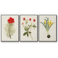 Flowers of the Seasons VI - Floater Framed Canvas Set