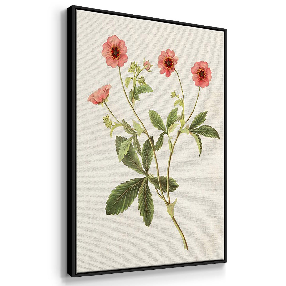 Flowers of the Seasons VI - Floater Framed Canvas Set