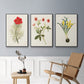 Flowers of the Seasons VI - Floater Framed Canvas Set