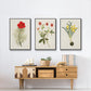 Flowers of the Seasons VI - Floater Framed Canvas Set
