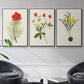 Flowers of the Seasons VI - Floater Framed Canvas Set