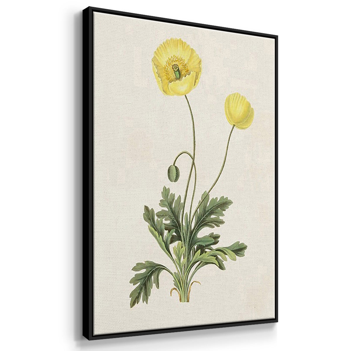 Flowers of the Seasons X - Floater Framed Canvas Set