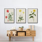 Flowers of the Seasons X - Floater Framed Canvas Set