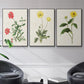 Flowers of the Seasons X - Floater Framed Canvas Set