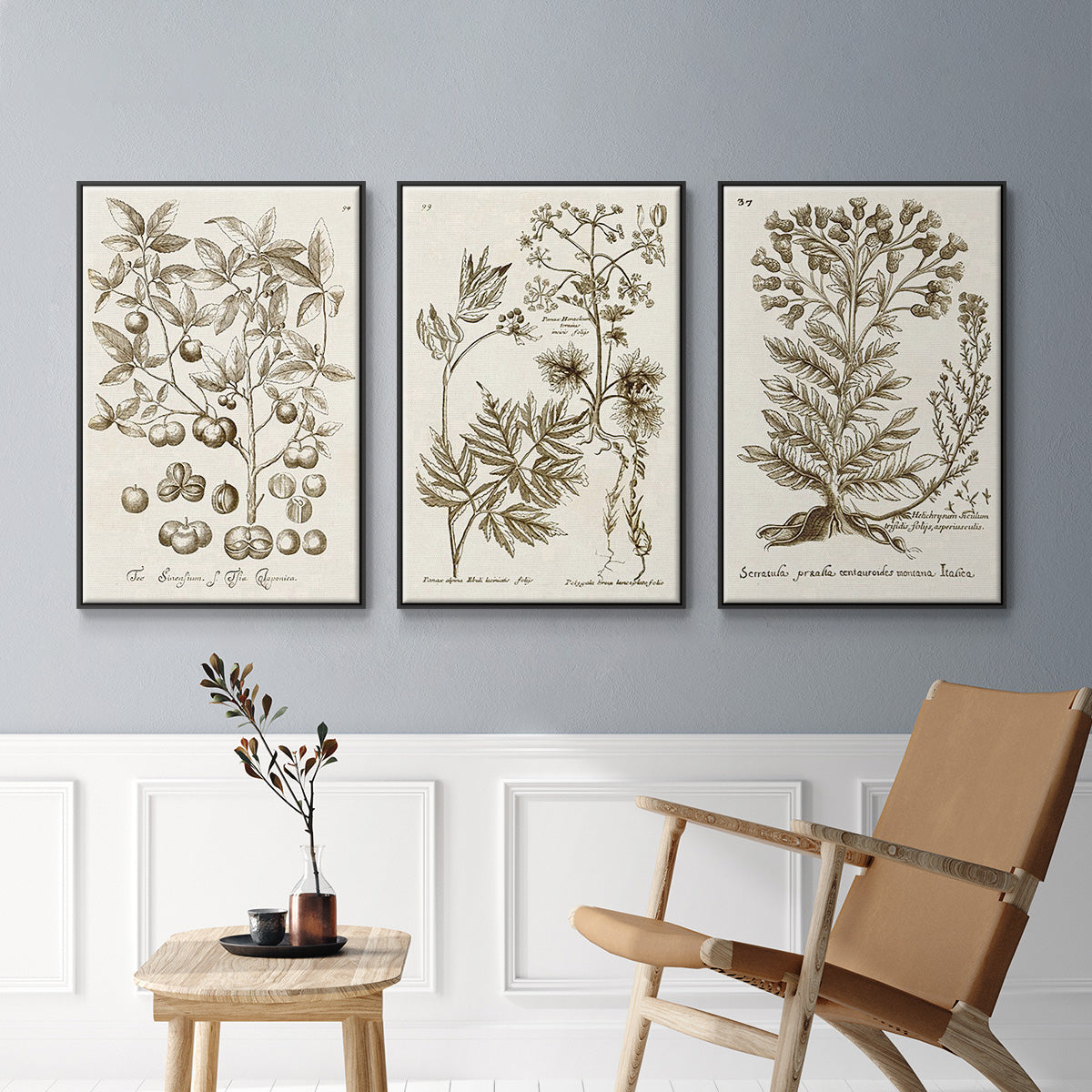 Sepia Botanical Journal I - Floater Framed Canvas Set