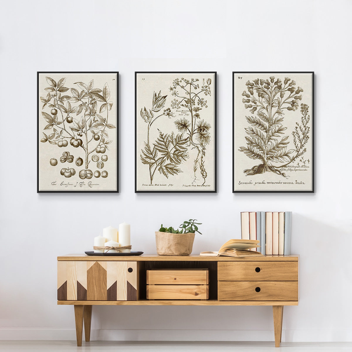 Sepia Botanical Journal I - Floater Framed Canvas Set