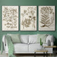 Sepia Botanical Journal I - Floater Framed Canvas Set