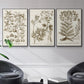 Sepia Botanical Journal I - Floater Framed Canvas Set