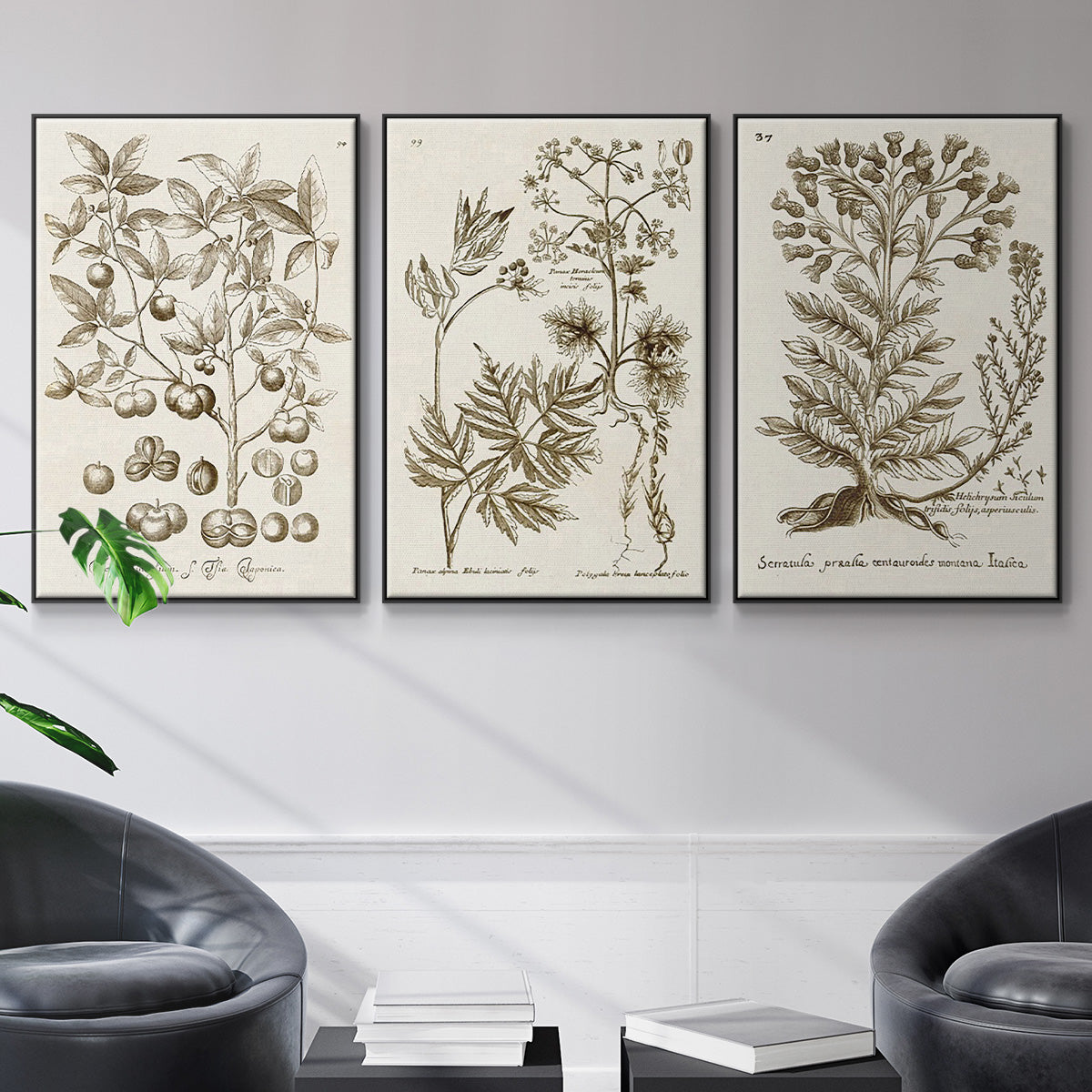 Sepia Botanical Journal I - Floater Framed Canvas Set